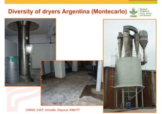 Cassava and the environment: inputs, outputs and externalities