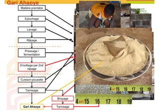 Cassava and the environment: inputs, outputs and externalities