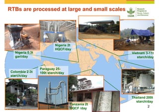Cassava and the environment: inputs, outputs and externalities