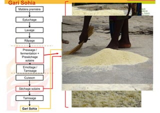 Cassava and the environment: inputs, outputs and externalities