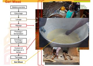 Cassava and the environment: inputs, outputs and externalities