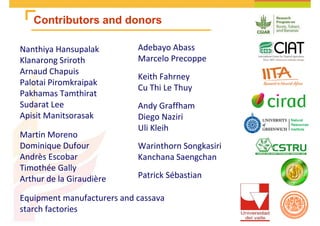Cassava and the environment: inputs, outputs and externalities
