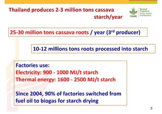 Cassava and the environment: inputs, outputs and externalities