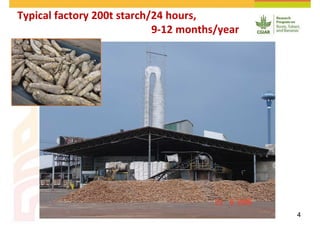 Cassava and the environment: inputs, outputs and externalities