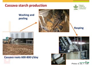 Cassava and the environment: inputs, outputs and externalities