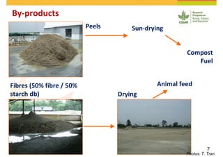 Cassava and the environment: inputs, outputs and externalities