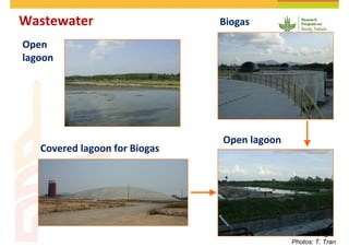 Cassava and the environment: inputs, outputs and externalities