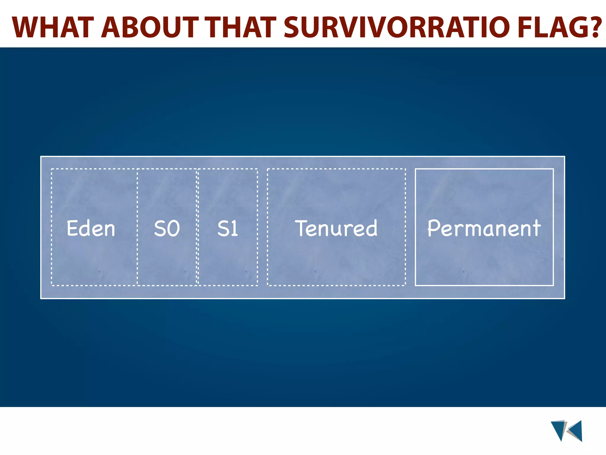 WHAT ABOUT THAT SURVIVORRATIO FLAG? Eden S0 S1 Tenured Permanent 