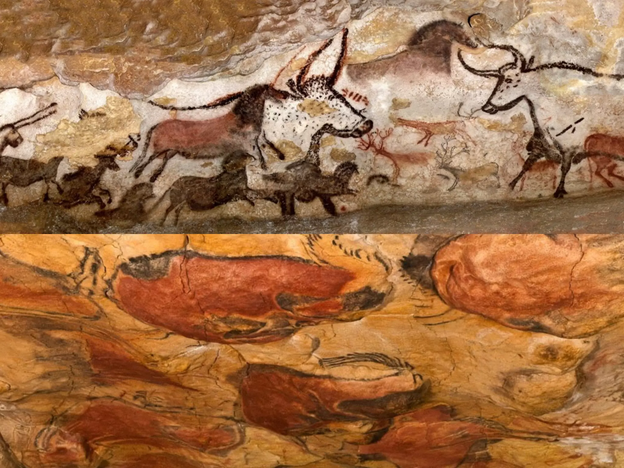 We should keep our
roots in place.
 