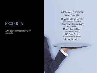 Business Internet Service