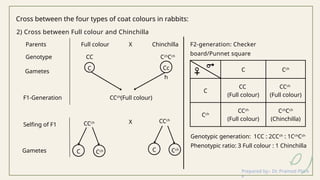 Multiple Alleles: Concepts, Examples and Inheritance Patterns.pptx