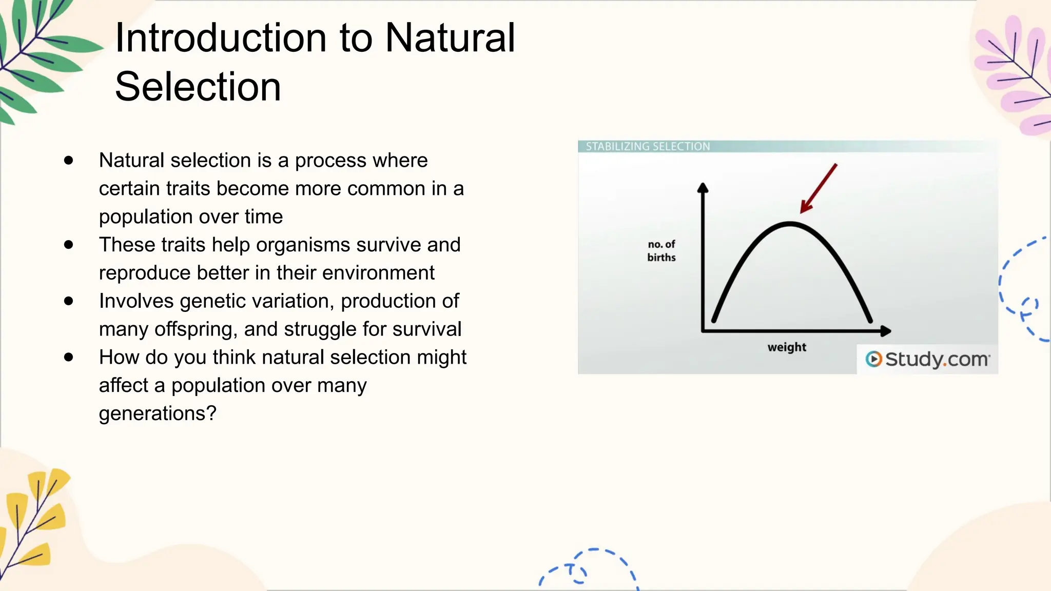 Introduction to Natural
Selection
● Natural selection is a process where
certain traits become more common in a
population over time
● These traits help organisms survive and
reproduce better in their environment
● Involves genetic variation, production of
many offspring, and struggle for survival
● How do you think natural selection might
affect a population over many
generations?
 
