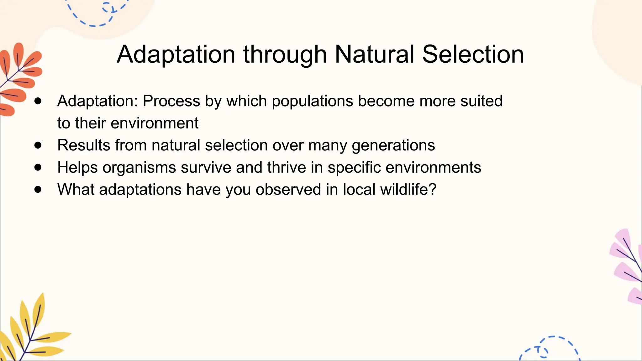Adaptation through Natural Selection
● Adaptation: Process by which populations become more suited
to their environment
● Results from natural selection over many generations
● Helps organisms survive and thrive in specific environments
● What adaptations have you observed in local wildlife?
 