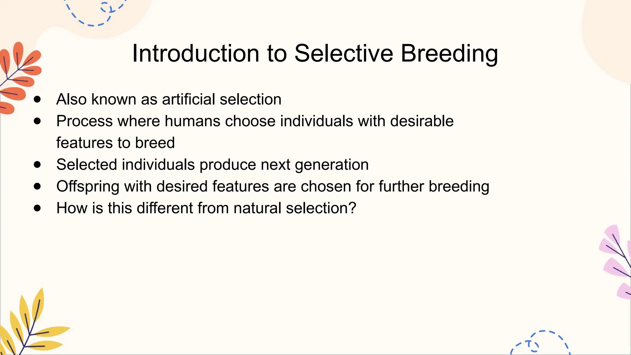 Introduction to Selective Breeding
● Also known as artificial selection
● Process where humans choose individuals with desirable
features to breed
● Selected individuals produce next generation
● Offspring with desired features are chosen for further breeding
● How is this different from natural selection?
 