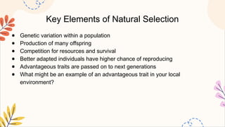 Key Elements of Natural Selection
● Genetic variation within a population
● Production of many offspring
● Competition for resources and survival
● Better adapted individuals have higher chance of reproducing
● Advantageous traits are passed on to next generations
● What might be an example of an advantageous trait in your local
environment?
 