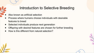 Introduction to Selective Breeding
● Also known as artificial selection
● Process where humans choose individuals with desirable
features to breed
● Selected individuals produce next generation
● Offspring with desired features are chosen for further breeding
● How is this different from natural selection?
 