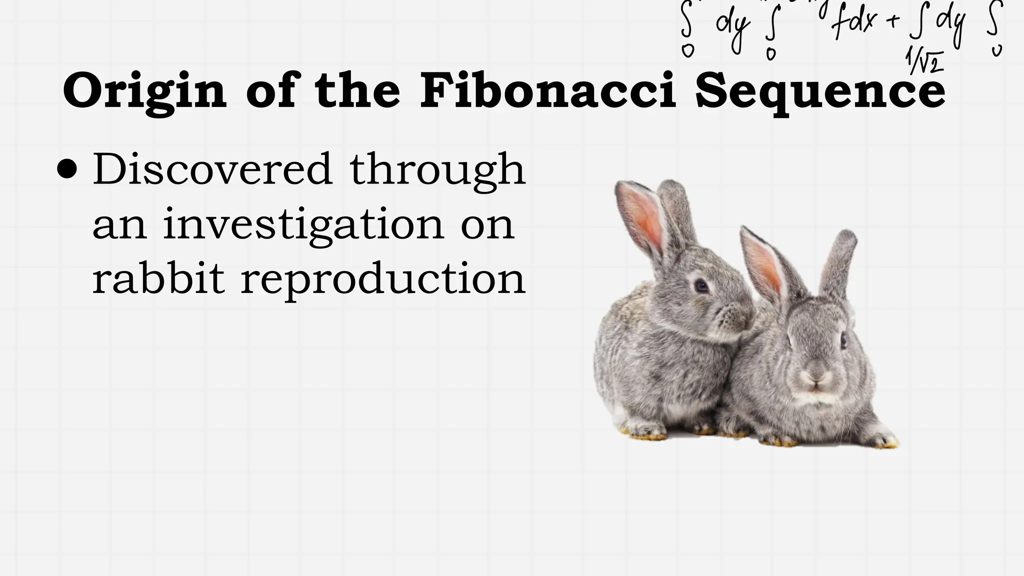 Origin of the Fibonacci Sequence
● Discovered through
an investigation on
rabbit reproduction
 