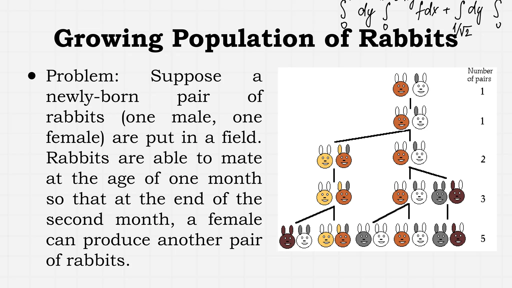 Growing Population of Rabbits
● Problem: Suppose a
newly-born pair of
rabbits (one male, one
female) are put in a field.
Rabbits are able to mate
at the age of one month
so that at the end of the
second month, a female
can produce another pair
of rabbits.
 