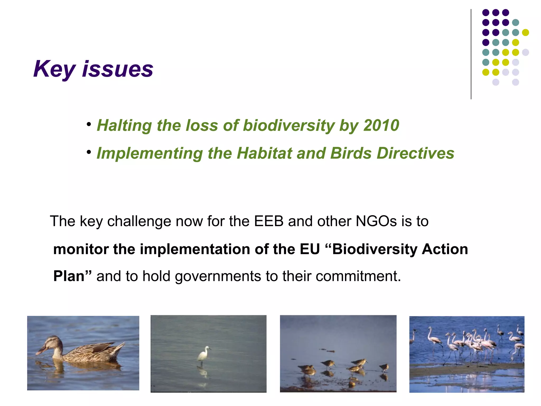EEB and EU Biodiversity Policy - Warsaw '08