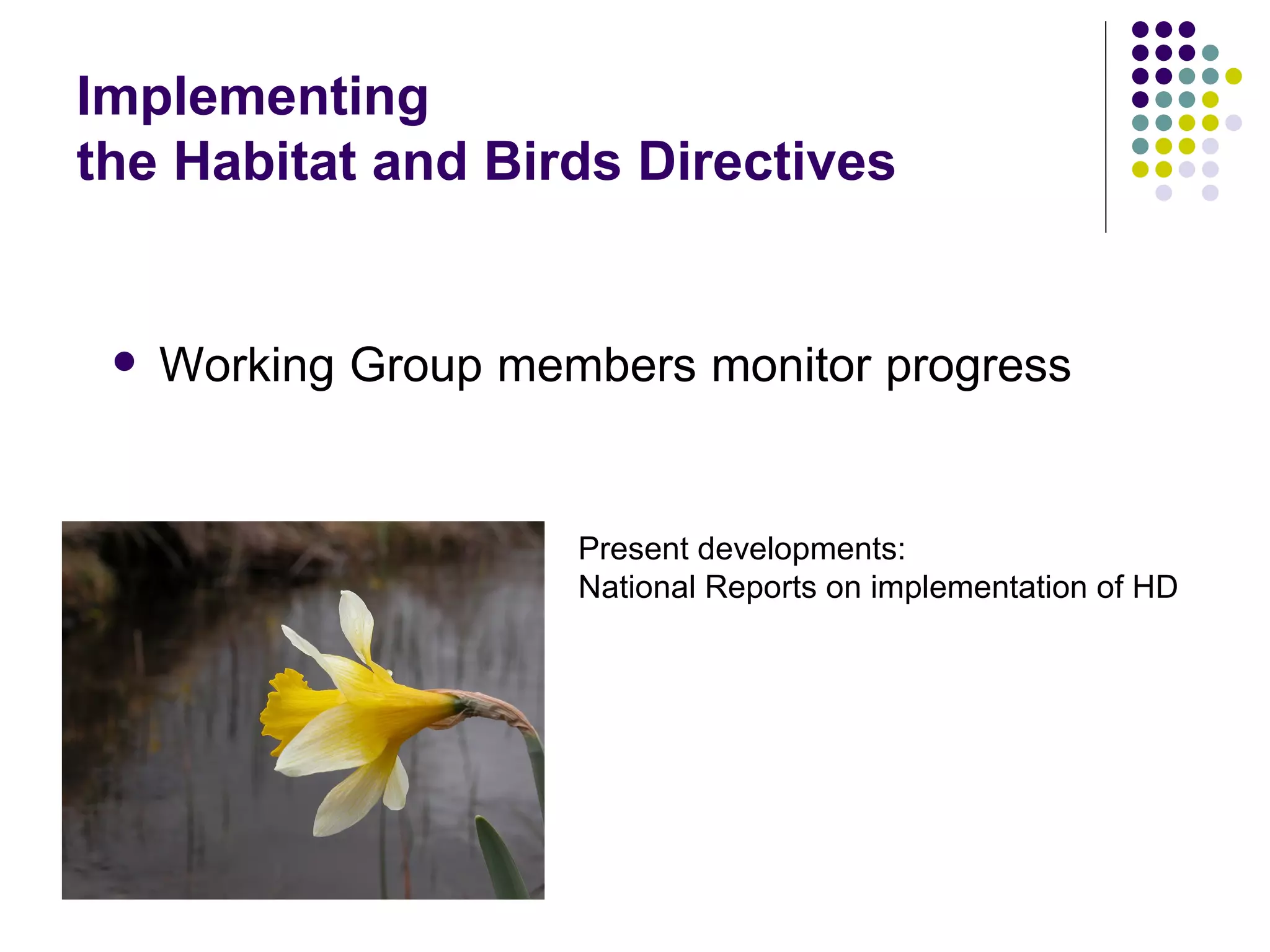 EEB and EU Biodiversity Policy - Warsaw '08