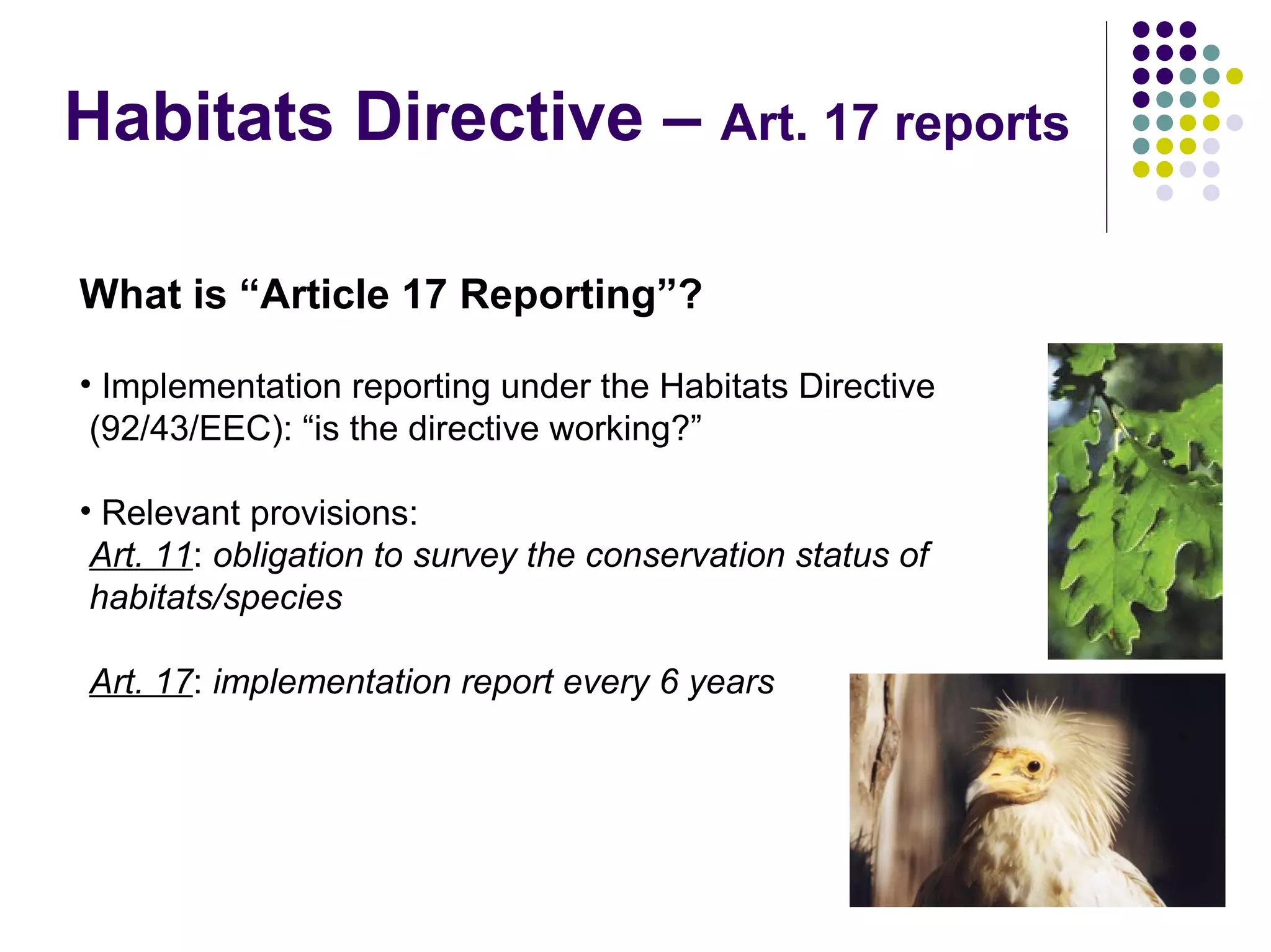 EEB and EU Biodiversity Policy - Warsaw '08