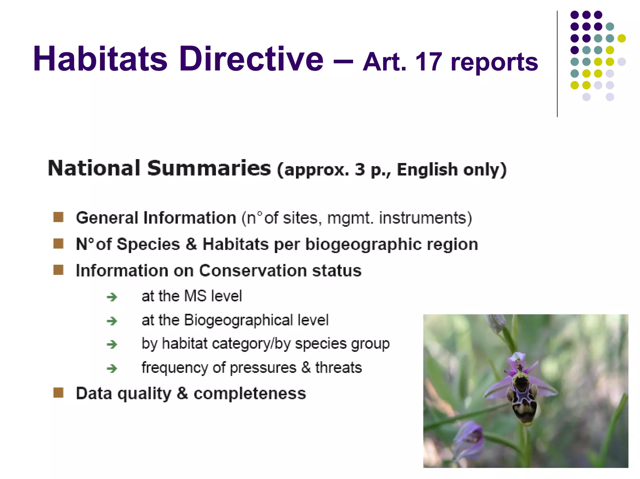 EEB and EU Biodiversity Policy - Warsaw '08