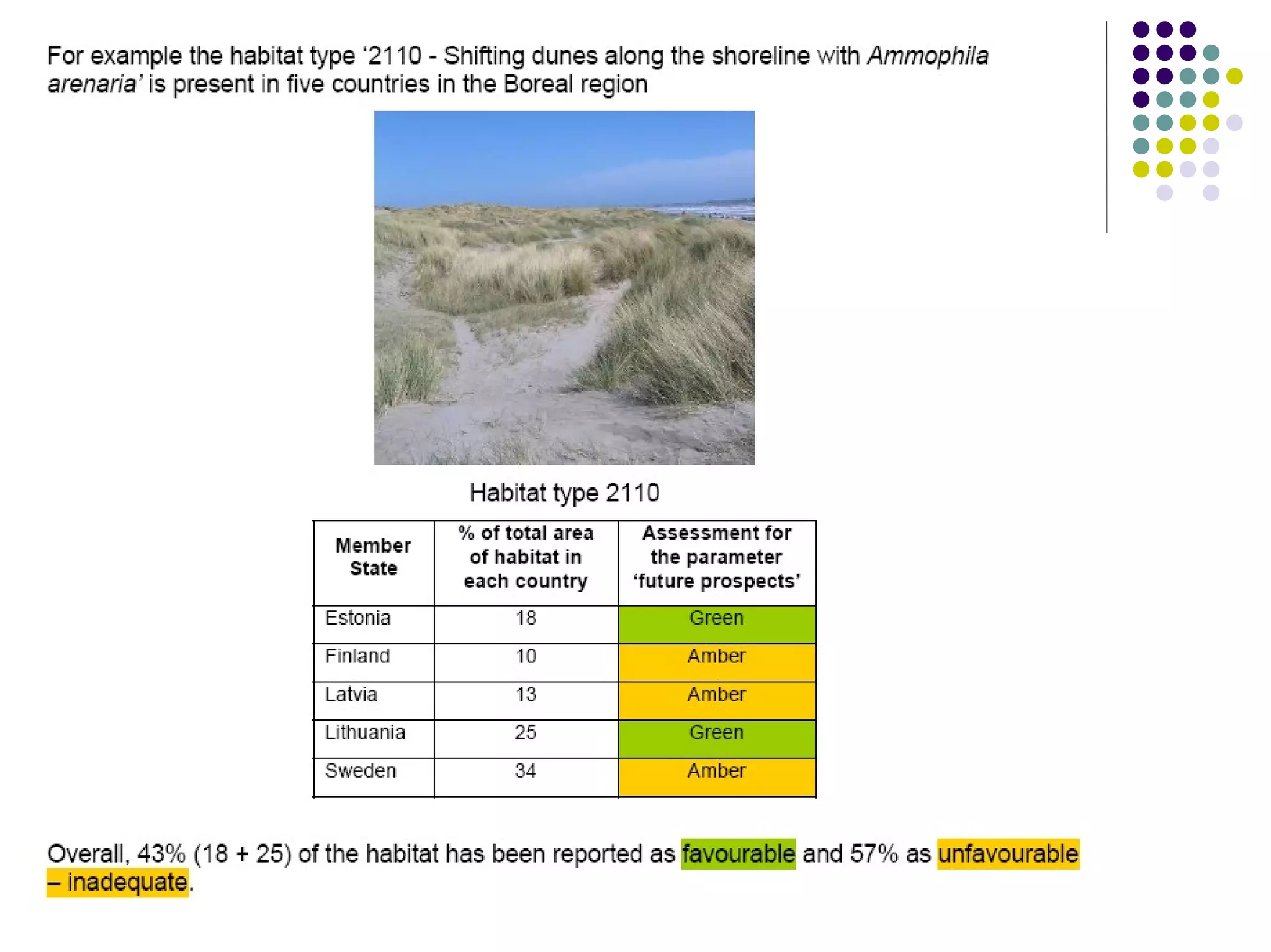 EEB and EU Biodiversity Policy - Warsaw '08