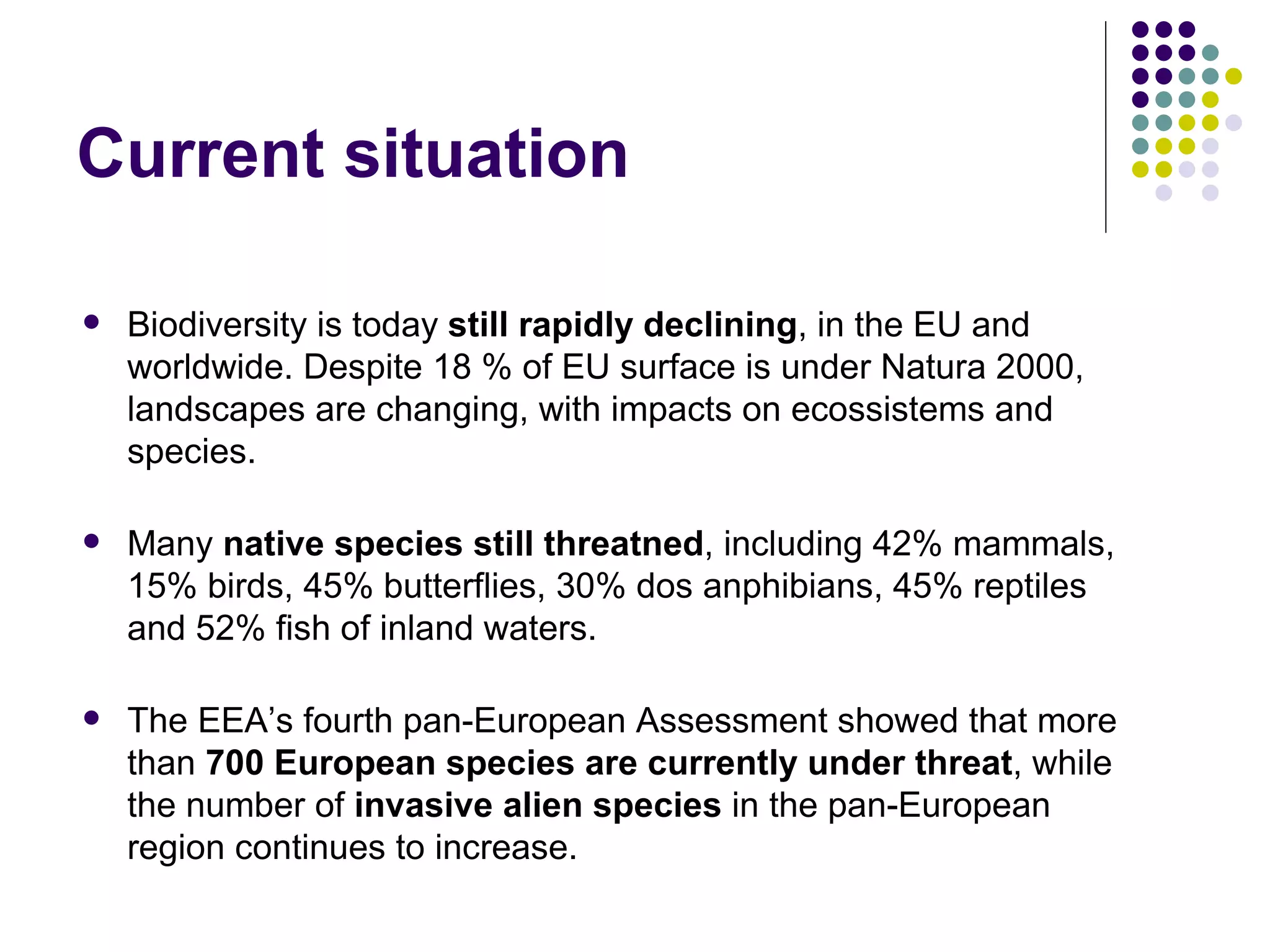 EEB and EU Biodiversity Policy - Warsaw '08