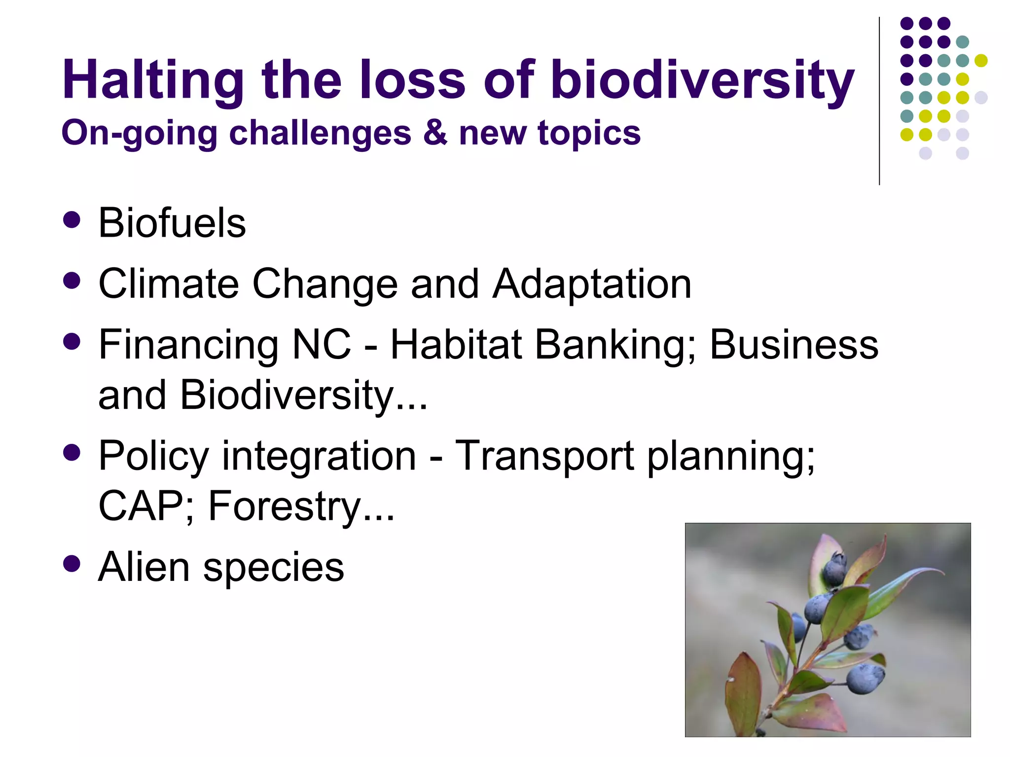 EEB and EU Biodiversity Policy - Warsaw '08