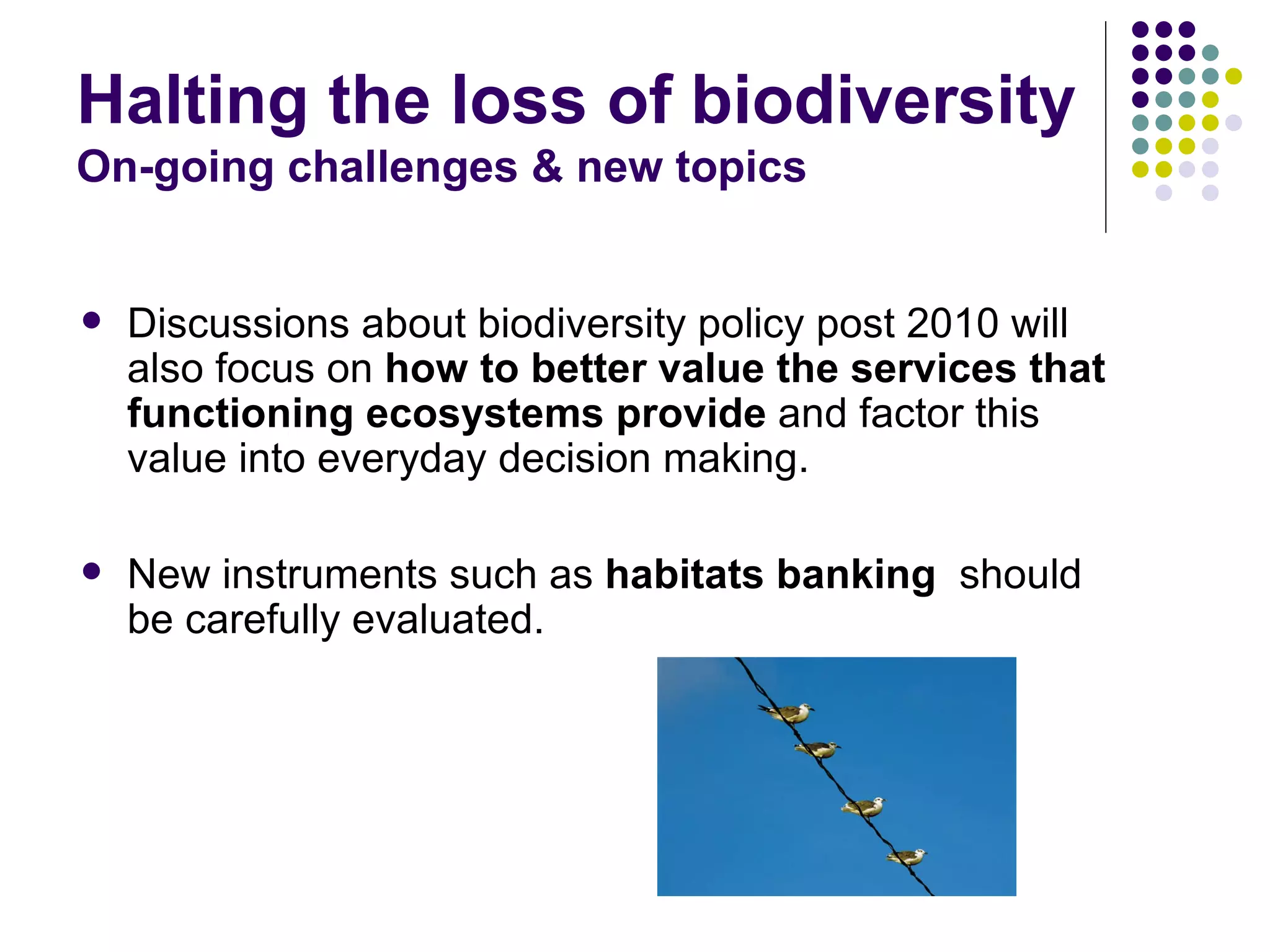 EEB and EU Biodiversity Policy - Warsaw '08