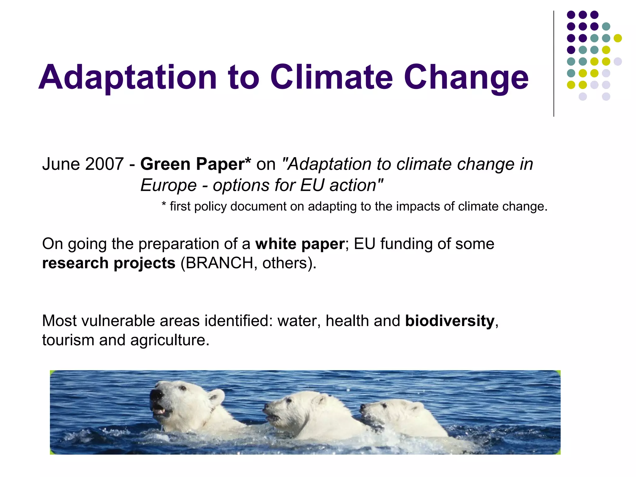 EEB and EU Biodiversity Policy - Warsaw '08