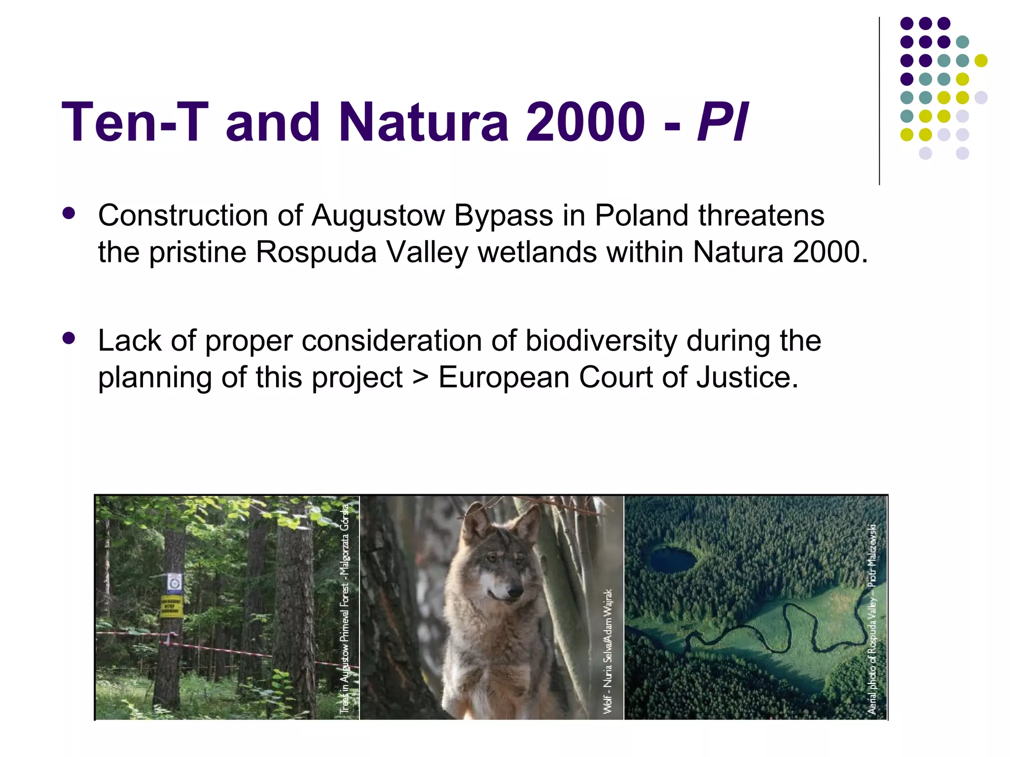 EEB and EU Biodiversity Policy - Warsaw '08