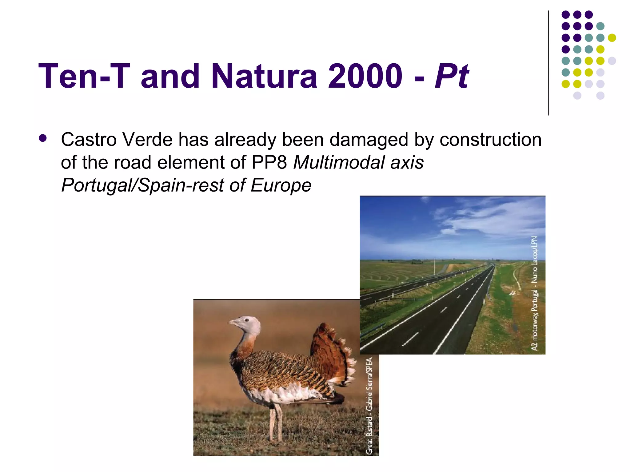 EEB and EU Biodiversity Policy - Warsaw '08