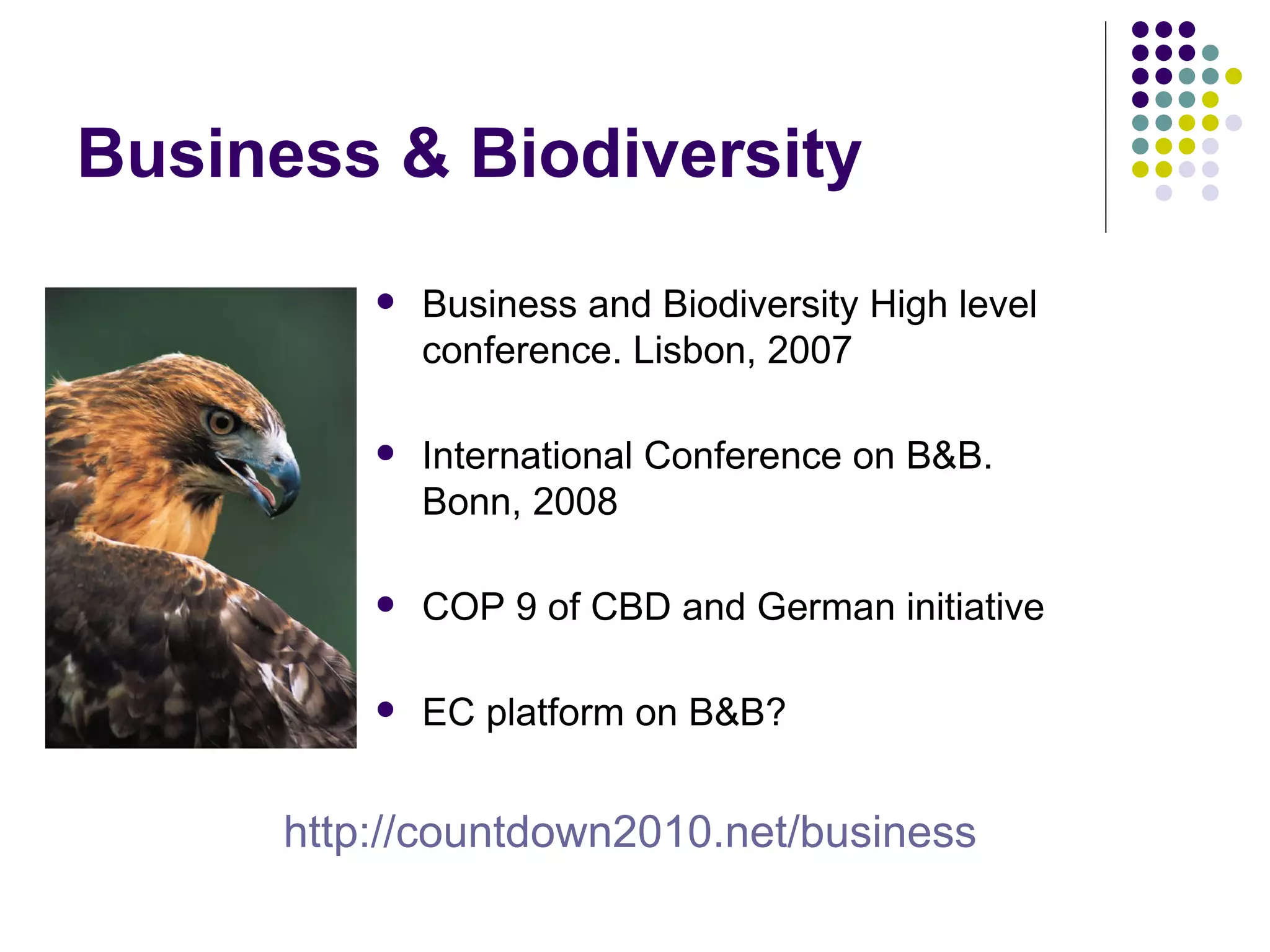 EEB and EU Biodiversity Policy - Warsaw '08