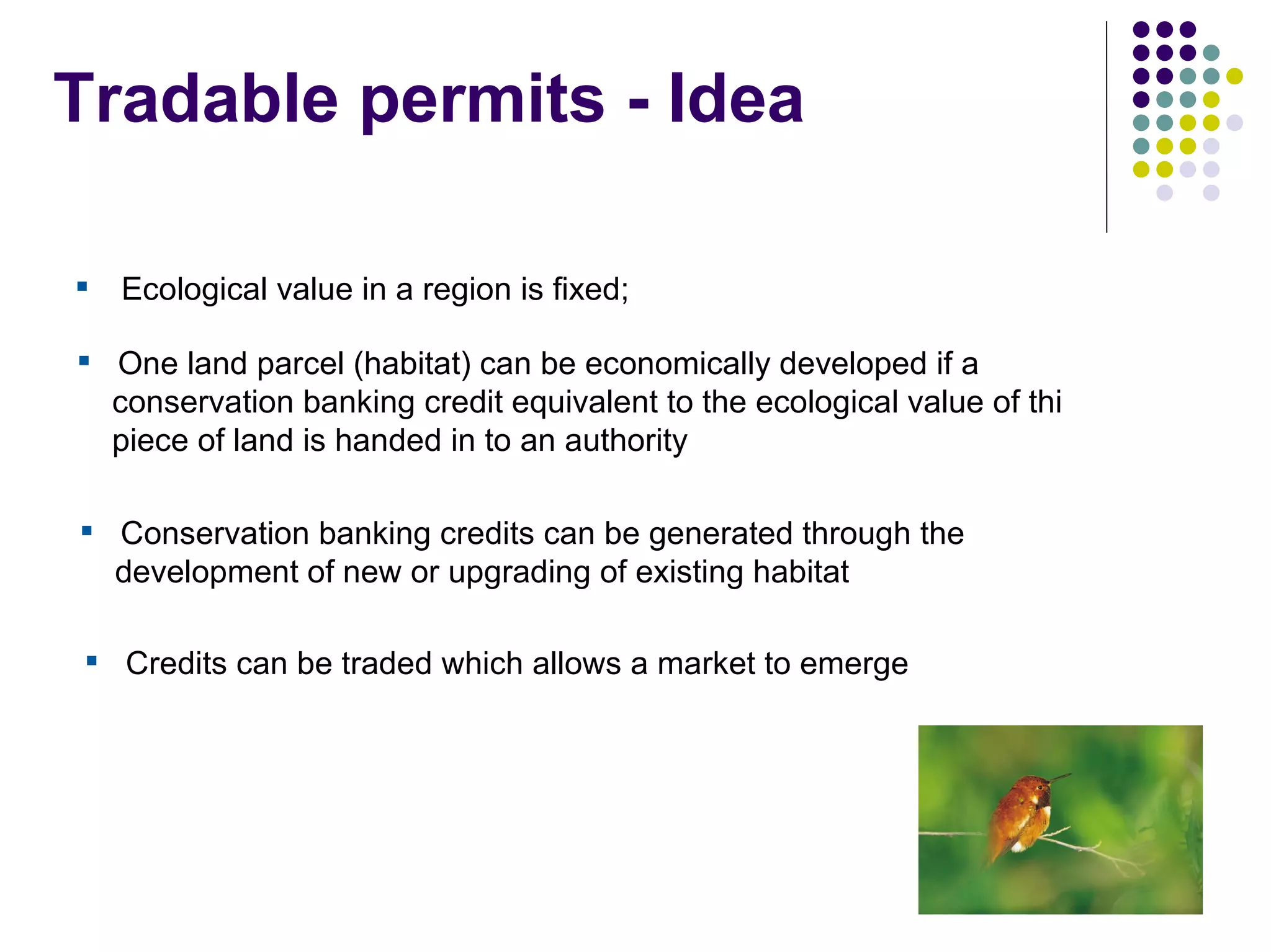 EEB and EU Biodiversity Policy - Warsaw '08