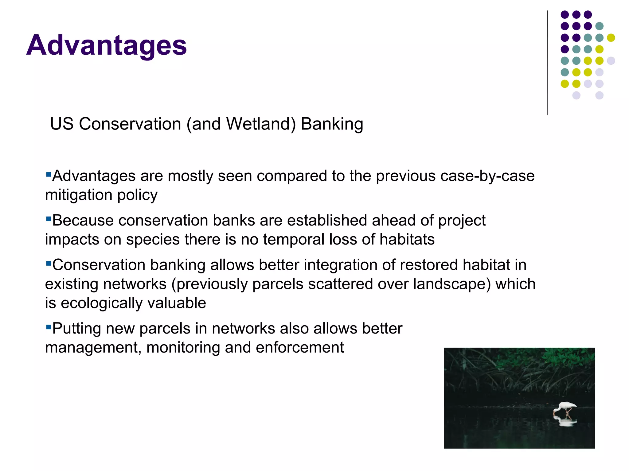 EEB and EU Biodiversity Policy - Warsaw '08