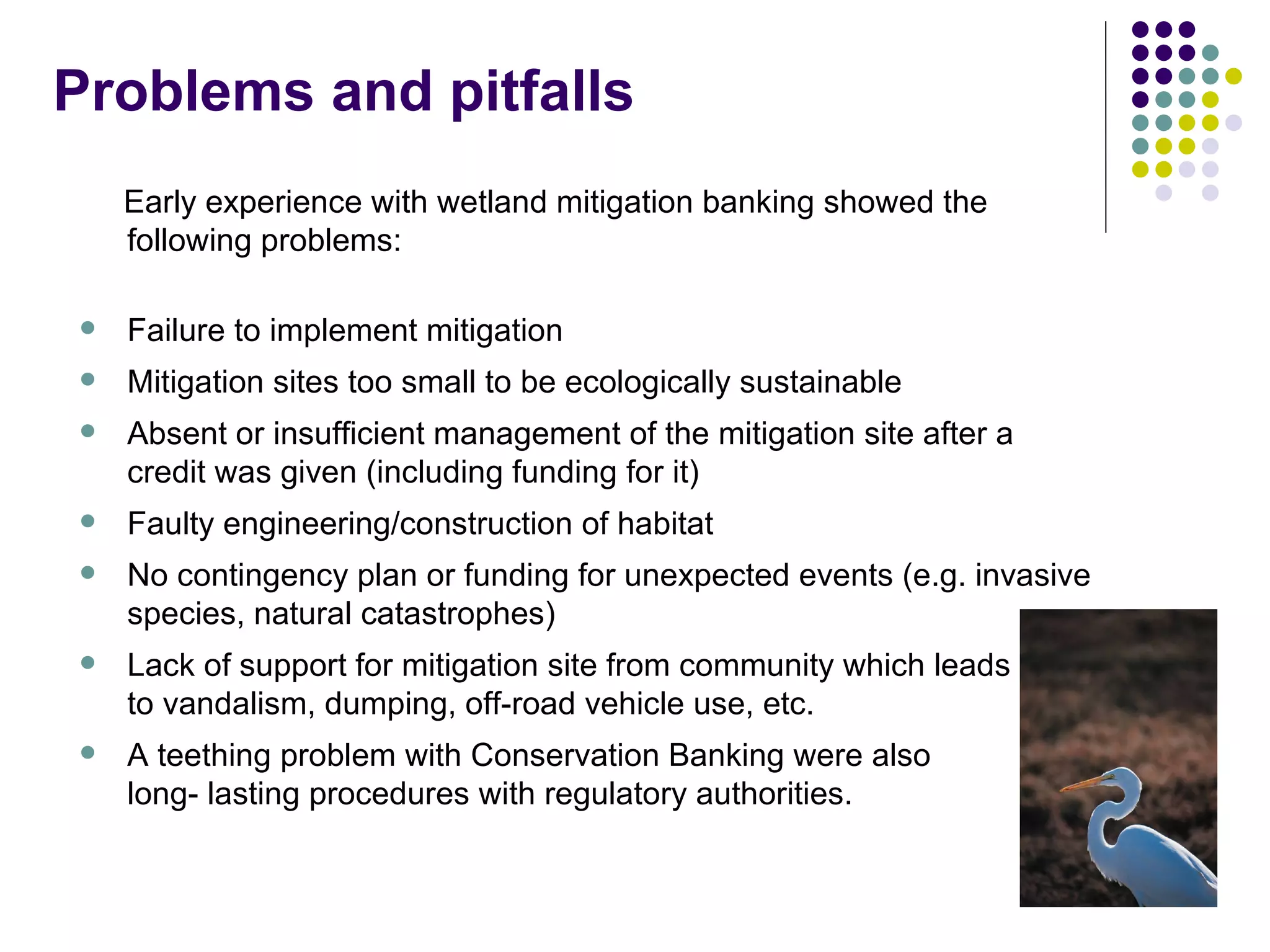 EEB and EU Biodiversity Policy - Warsaw '08