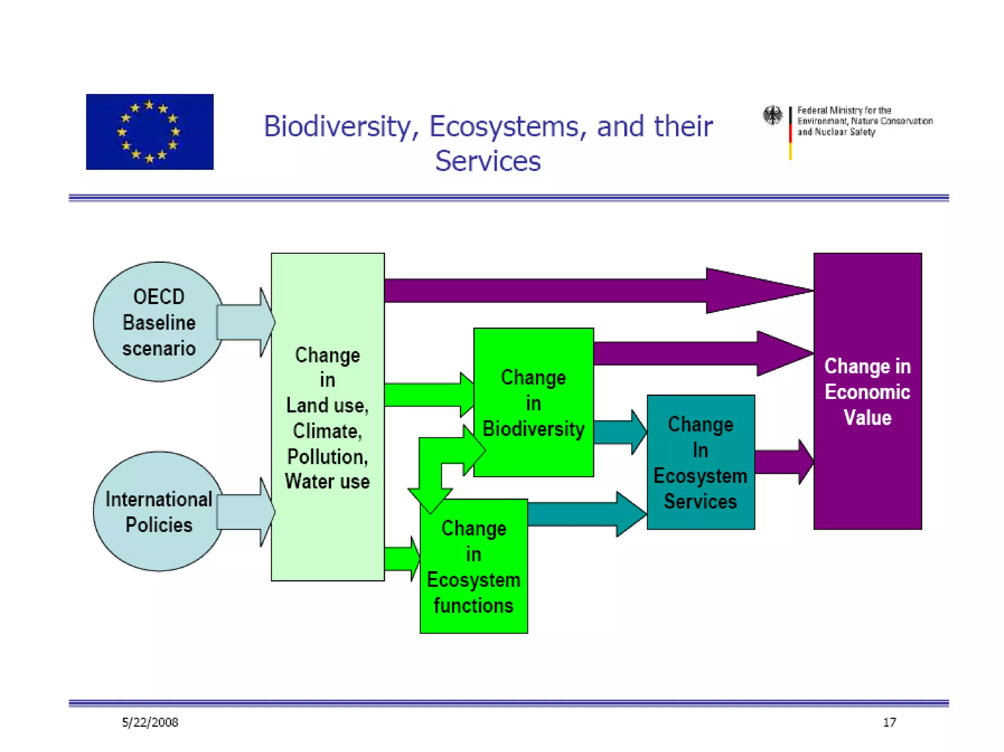 EEB and EU Biodiversity Policy - Warsaw '08