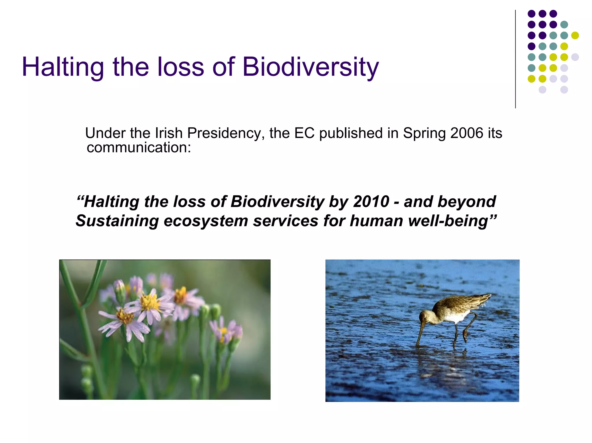 EEB and EU Biodiversity Policy - Warsaw '08