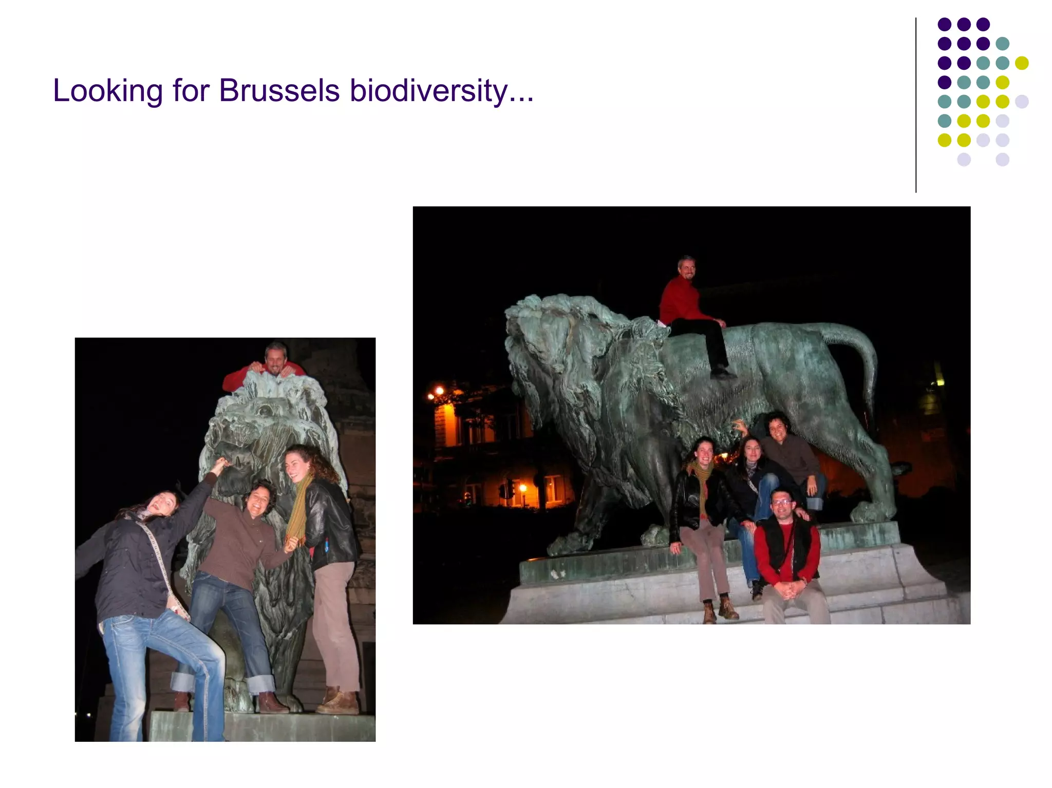 EEB and EU Biodiversity Policy - Warsaw '08