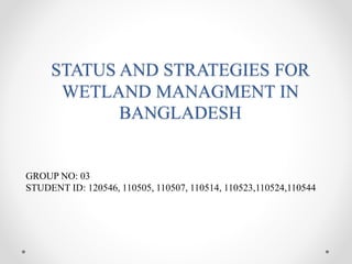 STATUS AND STRATEGIES FOR
WETLAND MANAGMENT IN
BANGLADESH
GROUP NO: 03
STUDENT ID: 120546, 110505, 110507, 110514, 110523,110524,110544
 