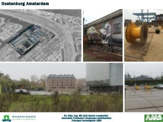 Dr. Dipl. Ing. MA (AA) Sanda Lenzholzer
Associate Professor Landscape Architecture
Principal Investigator AMS
Oostenburg A...