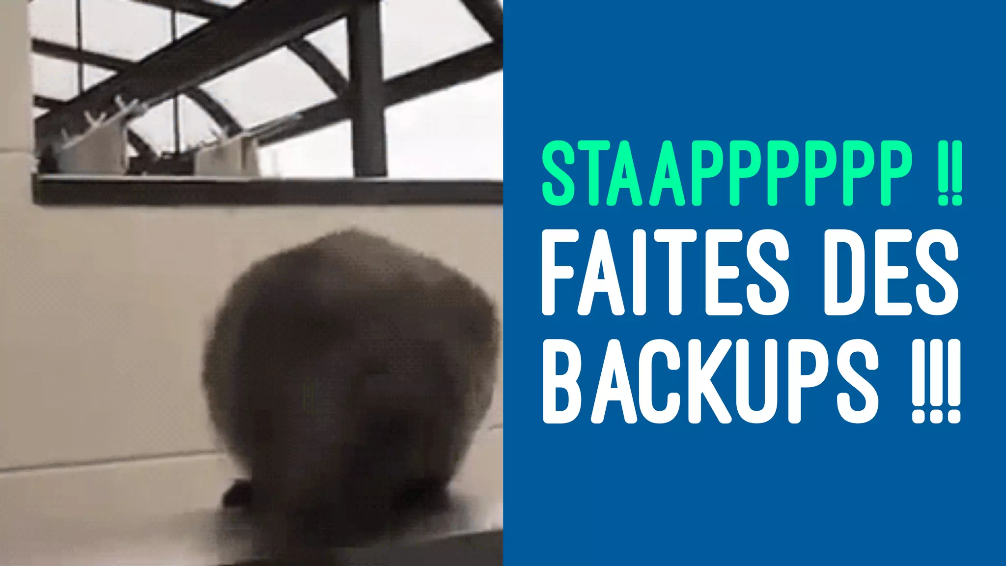 STAAPPPPPP !!
FAITES DES
BACKUPS !!!
 