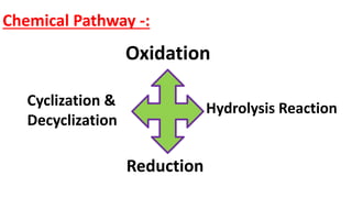 Metabolism of Drug | PPTX