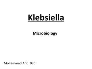 Klebsiella
Mohammad Arif, 930
Microbiology
 