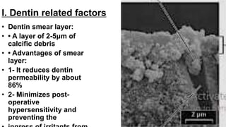 Presentation- yahia (1) adhesion in dentistry.pptx