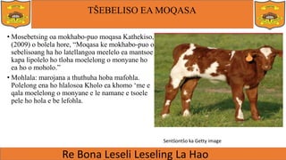 TŠEBELISO EA MOQASA
• Mosebetsing oa mokhabo-puo moqasa Kathekiso,
(2009) o bolela hore, “Moqasa ke mokhabo-puo o
sebelisoang ha ho latellangoa meelelo ea mantsoe
kapa lipolelo ho tloha moelelong o monyane ho
ea ho o moholo.”
• Mohlala: marojana a thuthuha hoba mafohla.
Polelong ena ho hlalosoa Kholo ea khomo ‘me e
qala moelelong o monyane e le namane e tsoele
pele ho hola e be lefohla.
Sentšontšo ka Getty image
 