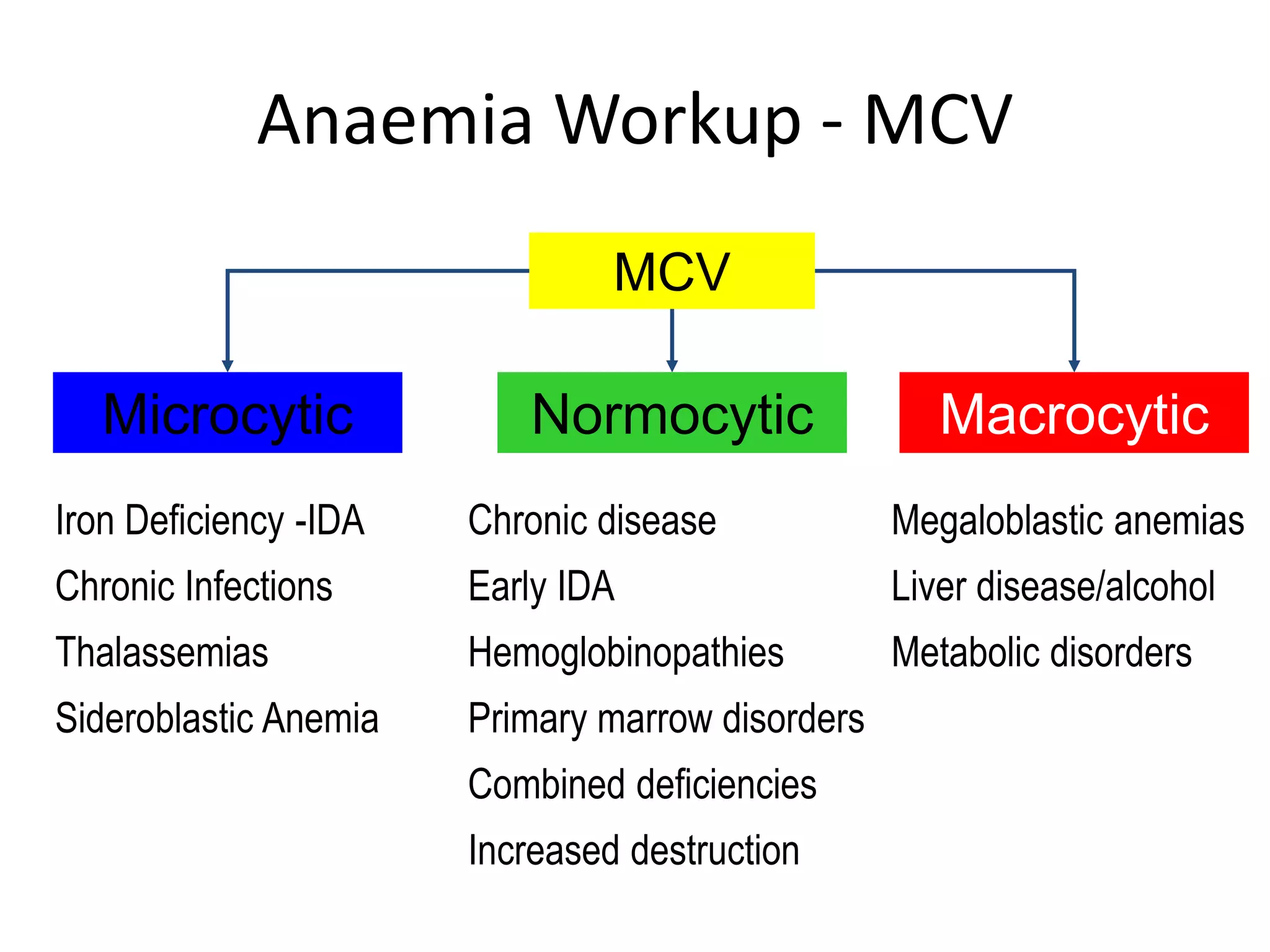 Anaemia Workup - MCV 
Microcytic 
MCV 
Normocytic Macrocytic 
Iron Deficiency -IDA 
Chronic Infections 
Thalassemias 
Sideroblastic Anemia 
Chronic disease 
Early IDA 
Hemoglobinopathies 
Primary marrow disorders 
Combined deficiencies 
Increased destruction 
Megaloblastic anemias 
Liver disease/alcohol 
Metabolic disorders 
 