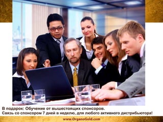 В подарок: Обучение от вышестоящих спонсоров.
Связь со спонсором 7 дней в неделю, для любого активного дистрибьютора!
 