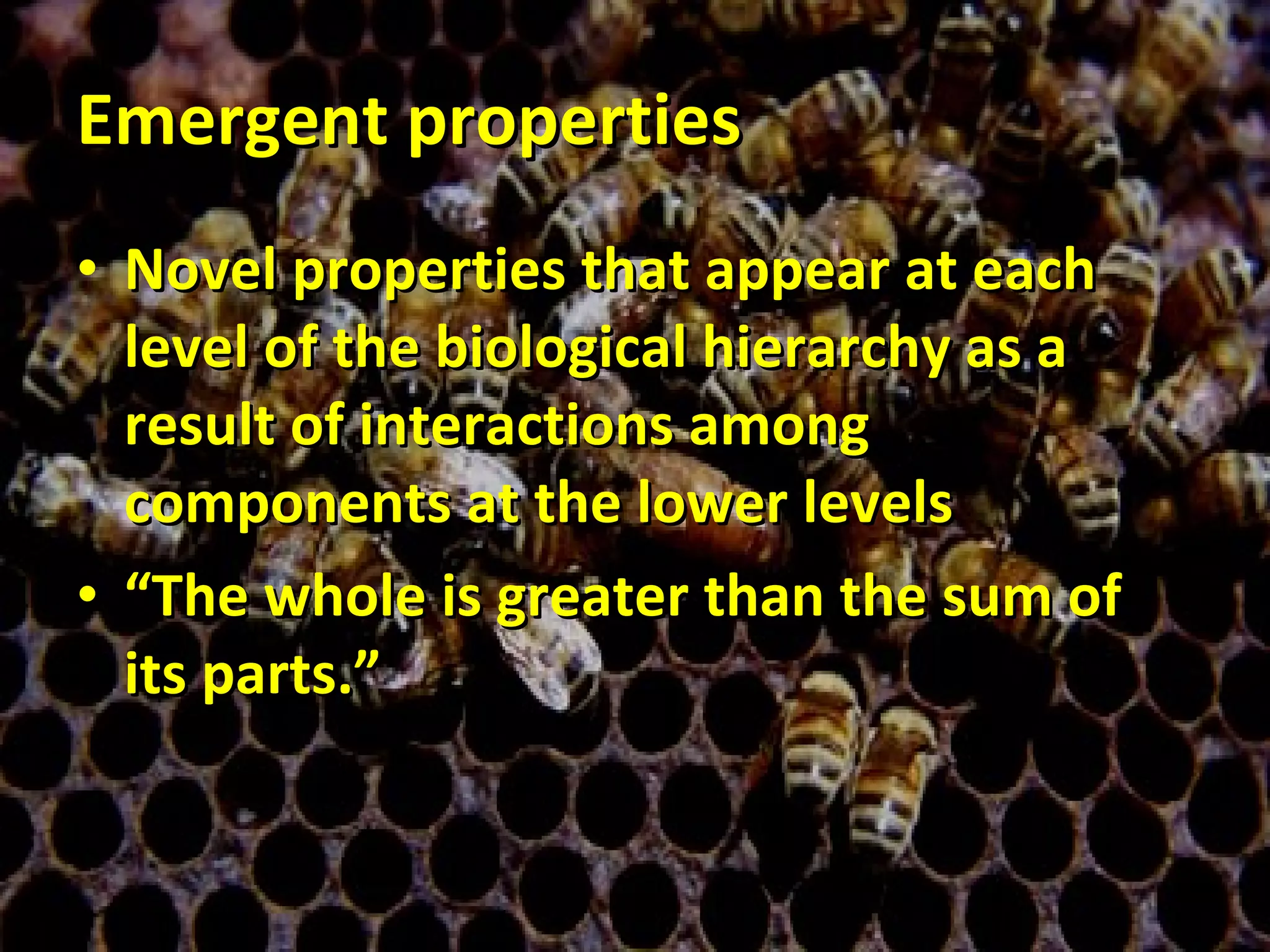 Emergent properties Novel properties that appear at each level of the biological hierarchy as a result of interactions among components at the lower levels “ The whole is greater than the sum of its parts.” 